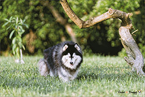 pic-20251026-01-cooper-index